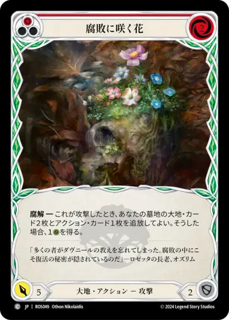 腐敗に咲く花